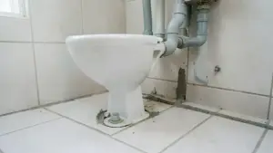 budowa toalety