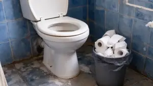 zakaz wrzucania papieru do toalety